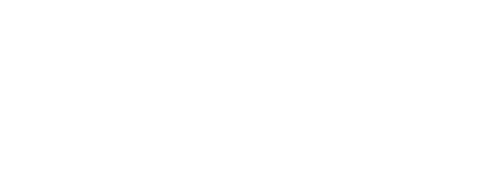 OPET otobil